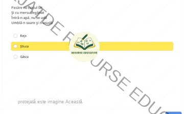 Ghicitori cu animale, păsări și insecte vol 1